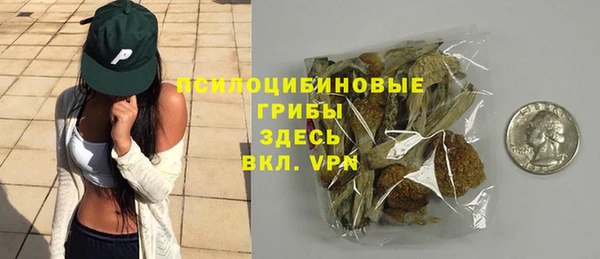 индика Вязники