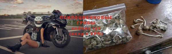каннабис Вяземский