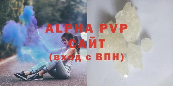 индика Вязники