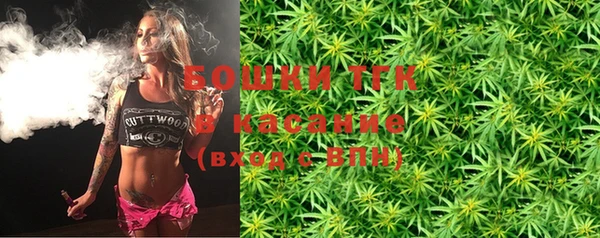 стафф Вязьма