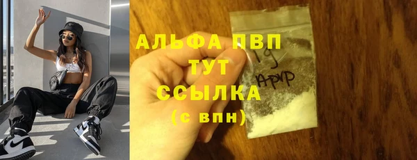 индика Вязники