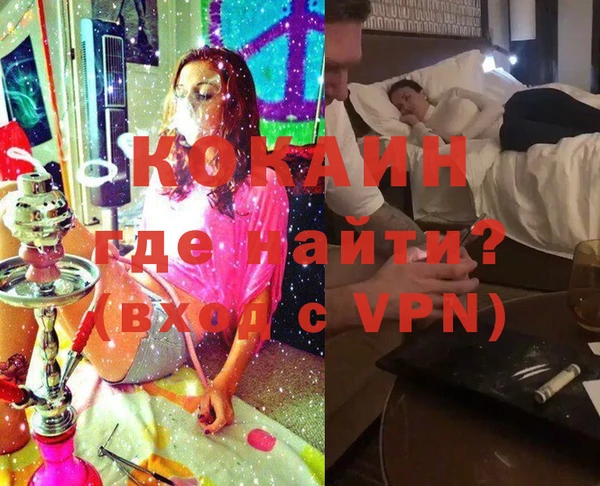 индика Вязники