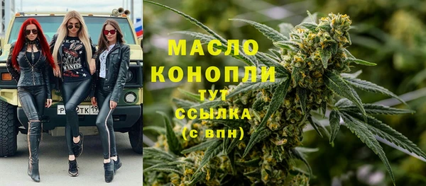 индика Вязники