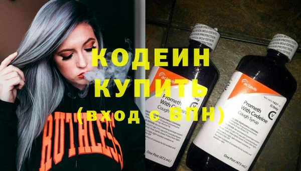 индика Вязники