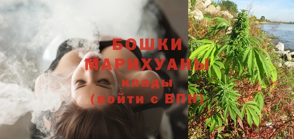 стафф Вязьма
