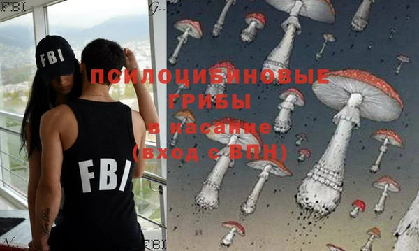стафф Вязьма