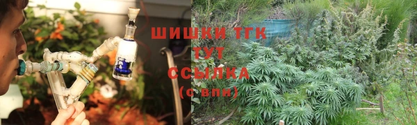 индика Вязники