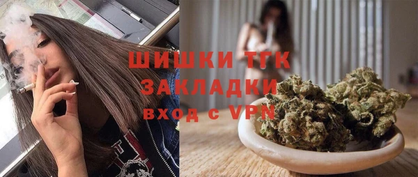 индика Вязники