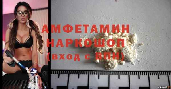 стафф Вязьма
