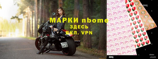индика Вязники