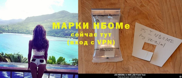 индика Вязники