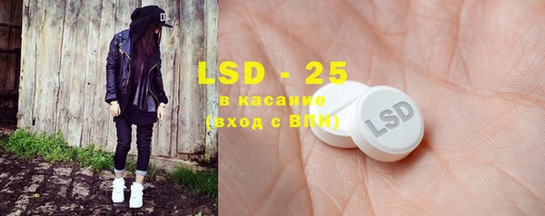 индика Вязники
